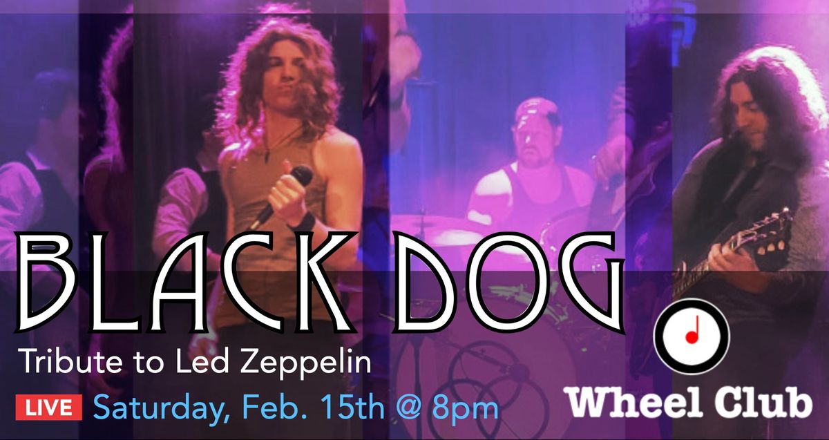 LED ZEPPELIN Tribute - BLACK DOG - Live at Montreal's Legendary Wheel Club