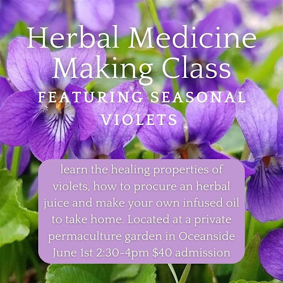 Herbal Medicine Making Class