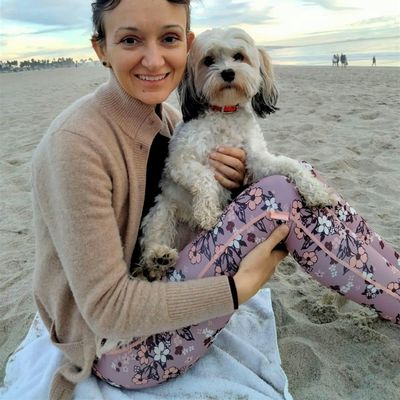 Holistic Health First