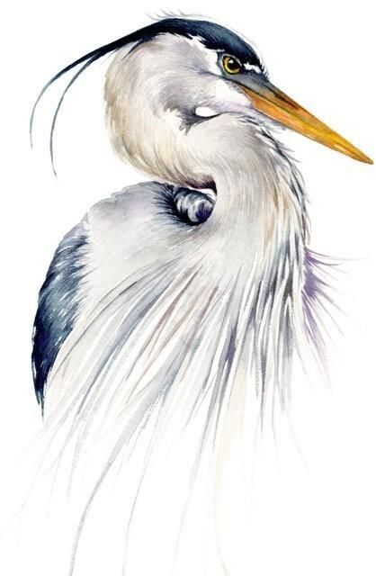 Great watercolor heron, Saturday, Nov.23 at 2pm. 1459 Humboldt Rd, Chico