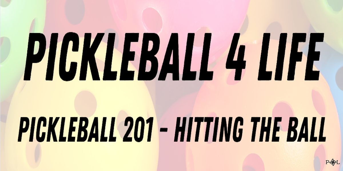 Pickleball 201: How to Hit the Pickleball Over the Net More Effectively