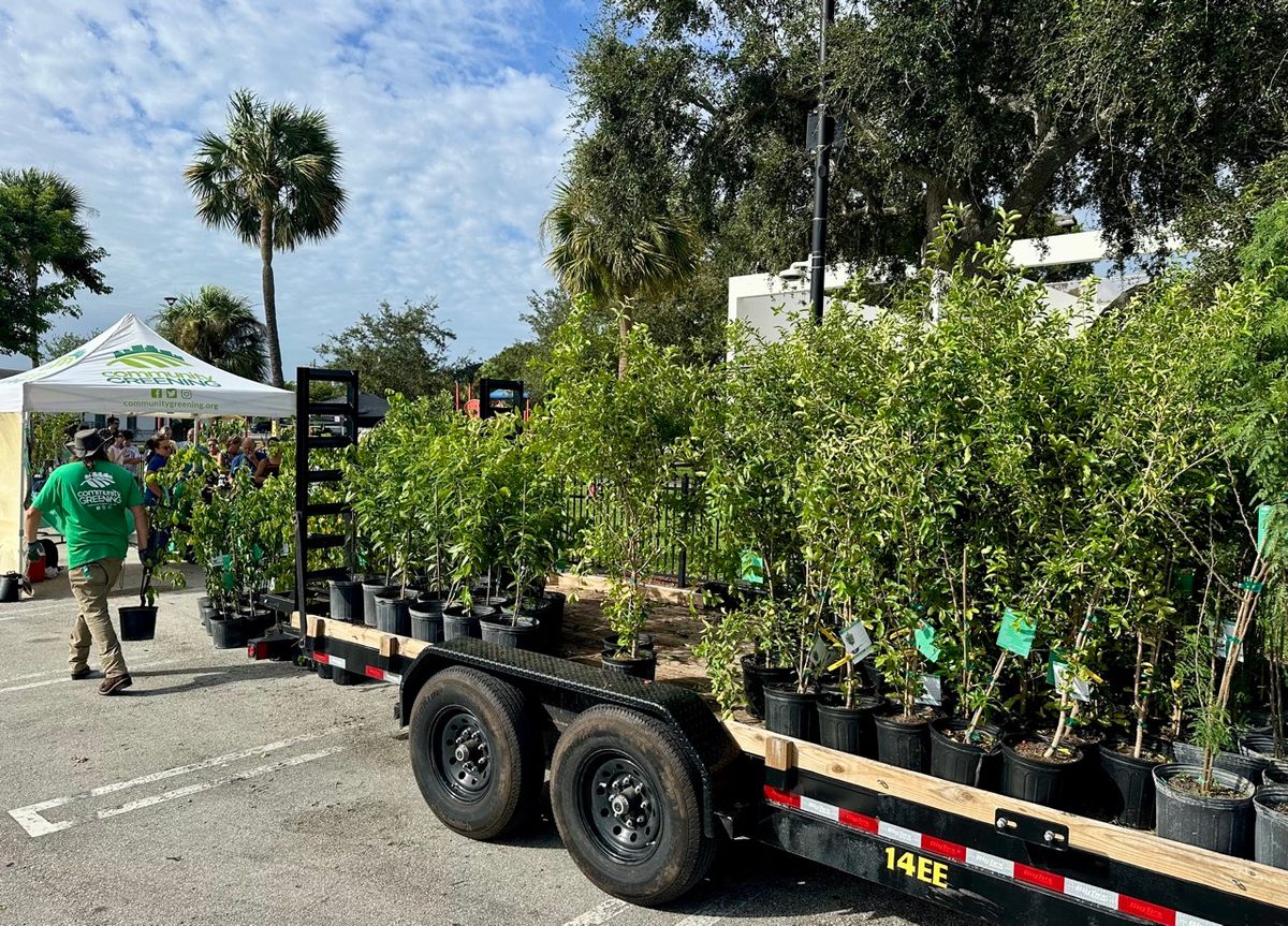 Boynton Beach Tree Giveaway