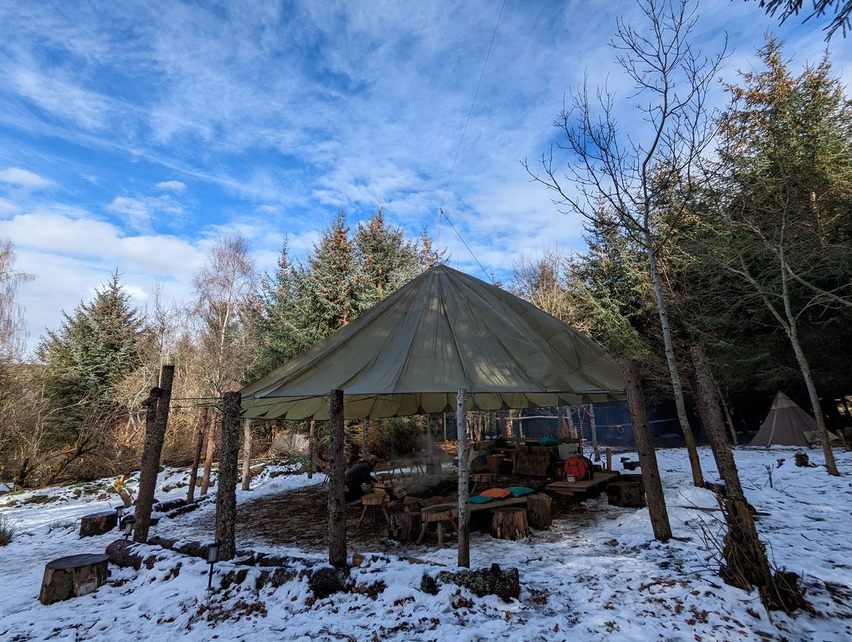 Winter Forest Bathing