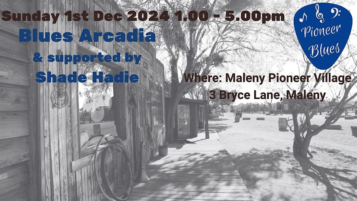 Pioneer Blues Sunday Afternoon Session with Blues Arcadia & supported by Shade Hadie