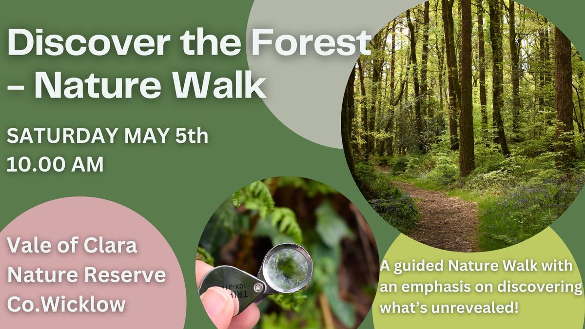 Discover the Forest - Nature Walk