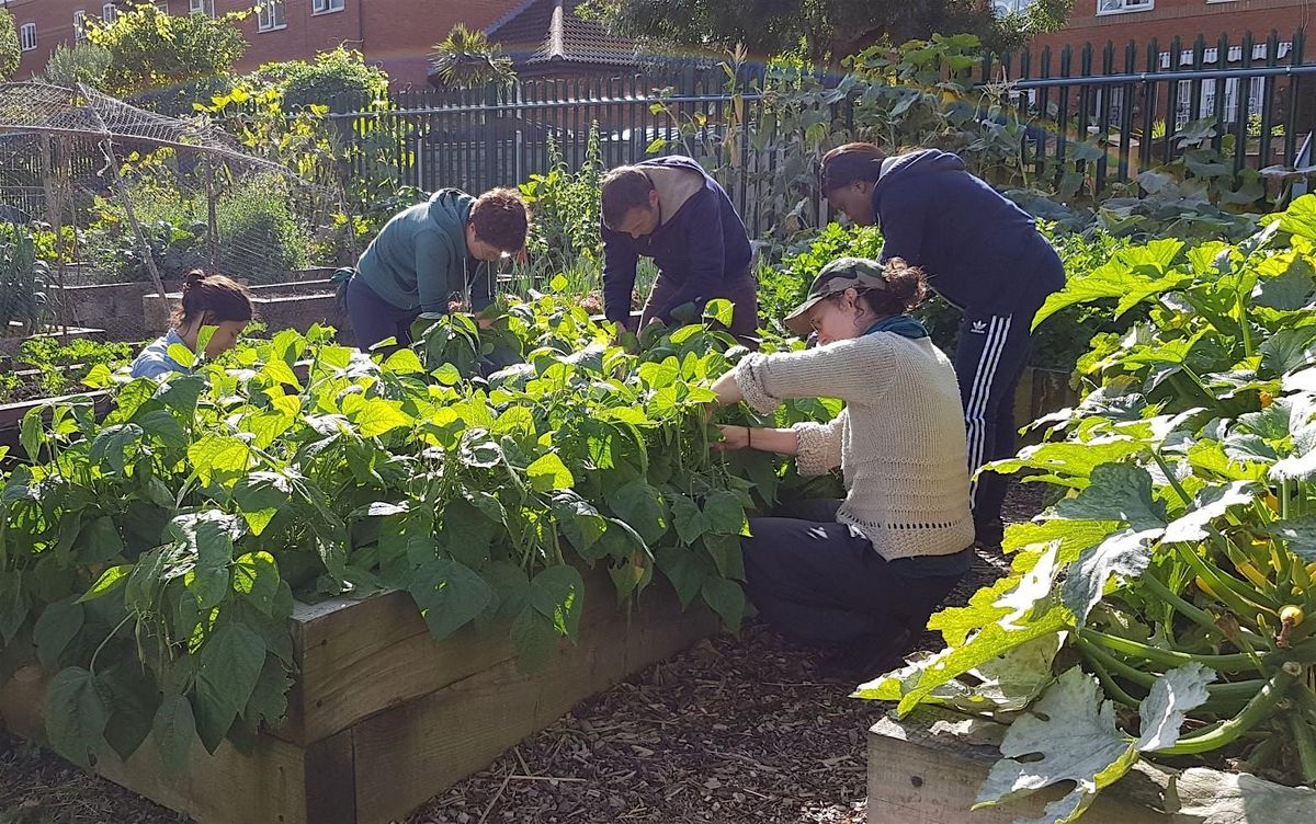 Gardening for Wellbeing