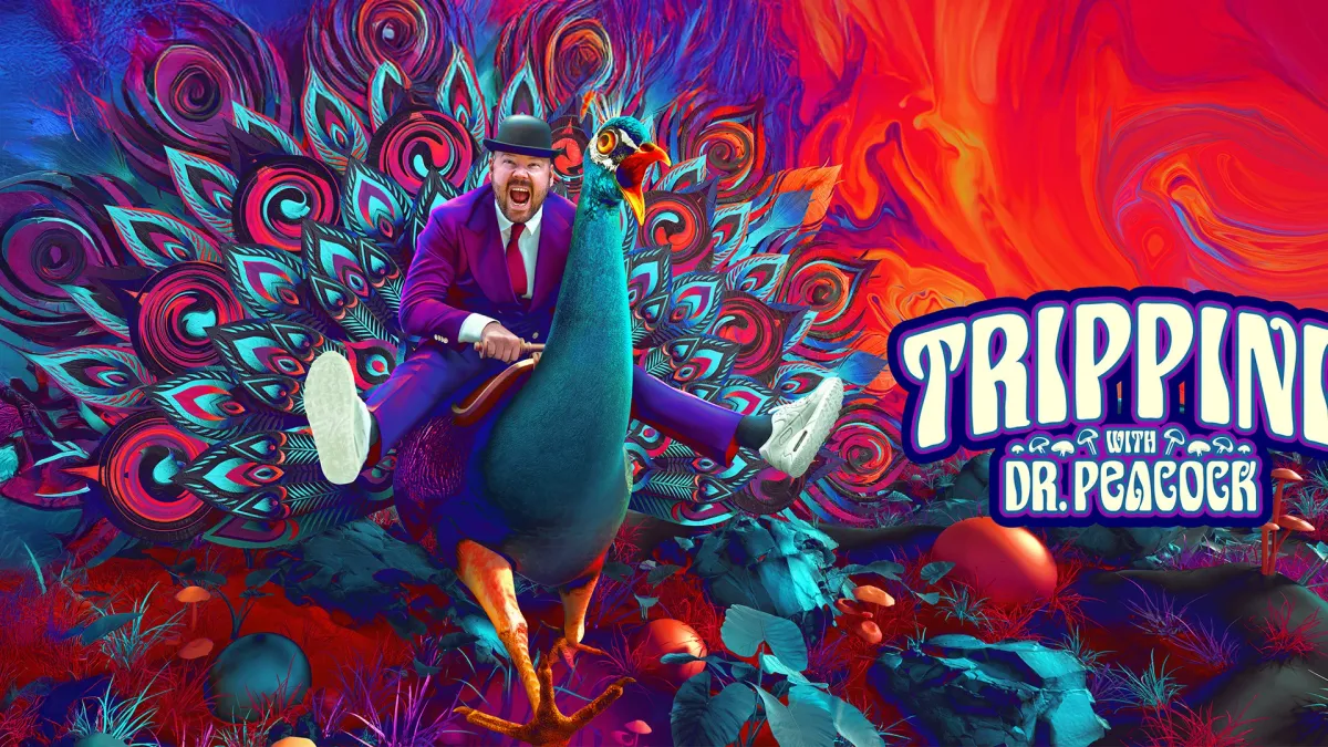 Dr. Peacock, Dimitri K, Doris, Dj Fou in Nantes