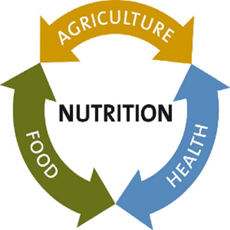 Training  on Nutrition Sensitive Agriculture For Food And Nutrition Security