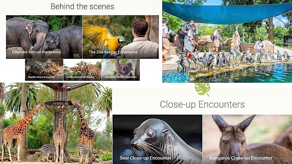 Zoo Meetup With Encountering & Exploring Tropical Animals