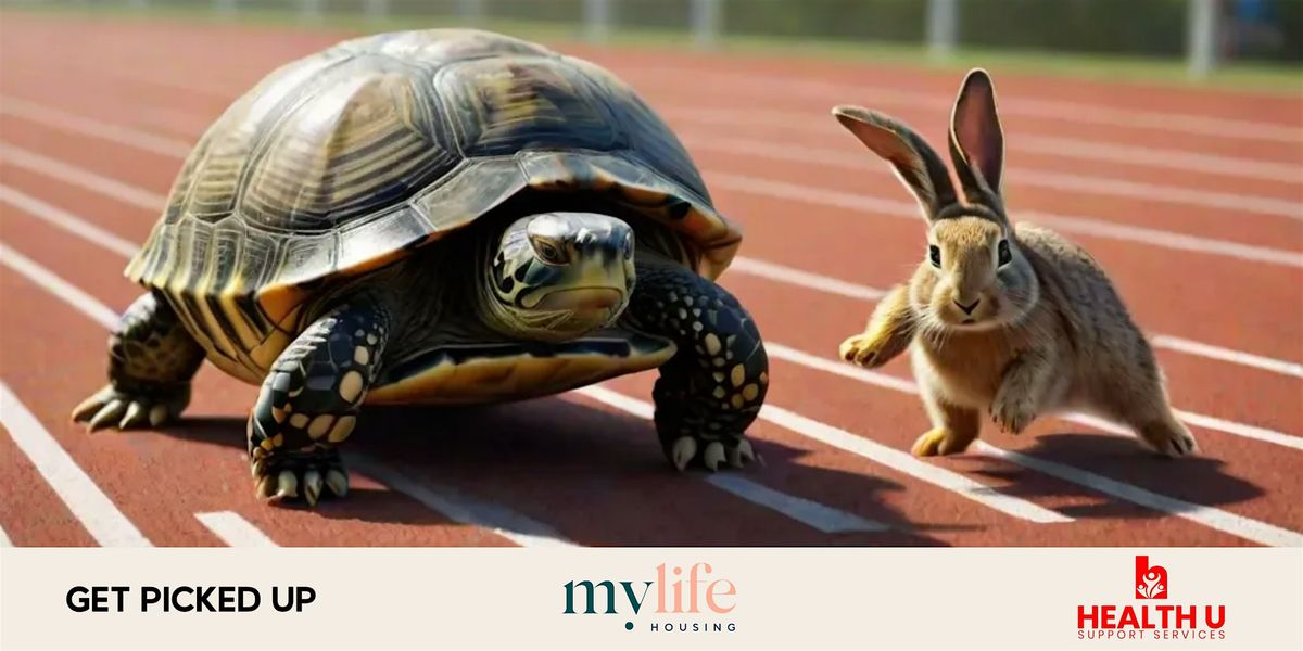 Bunny and Turtle Walk - NDIS Networking Event
