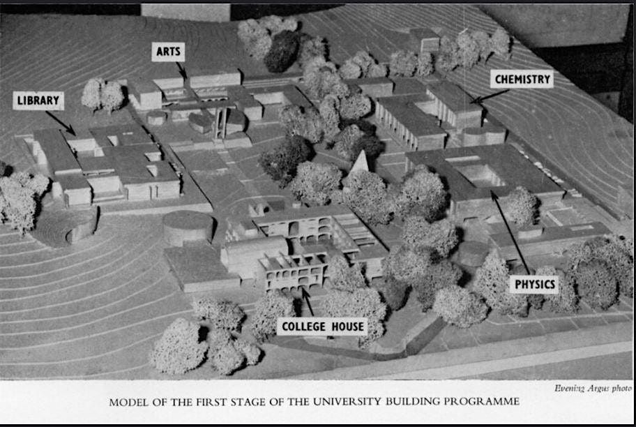 University Pasts and Futures
