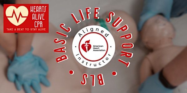 Basic Life Support (BLS), Dover, DE, 11 December 2022