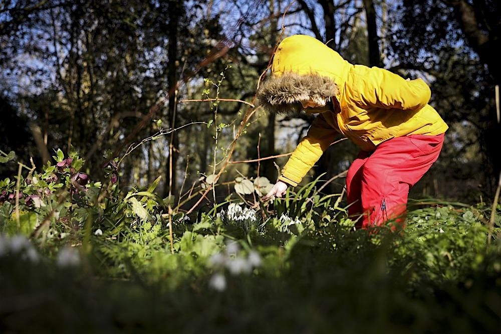 Great Holland Pits Nature Tots & Babies - Free Taster Session