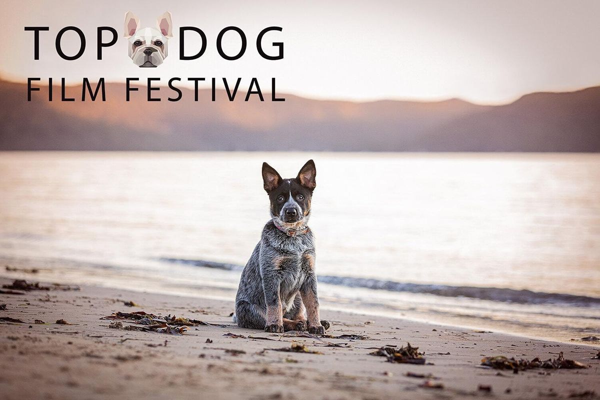 Top Dog Film Festival