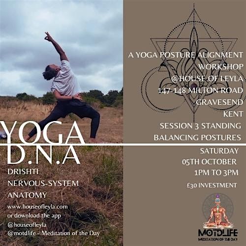 Yoga D.N.A. Drishti Nervous-System and Anatomy