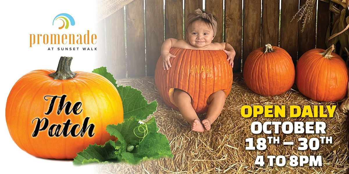 The Pumpkin Patch at Promenade - Sunset Walk Open Daily October 18th - 30th