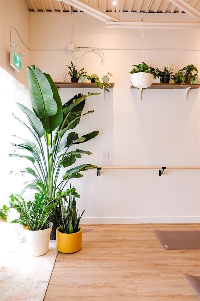 Pilates in the Plants - Foli x Grounded Pialtes