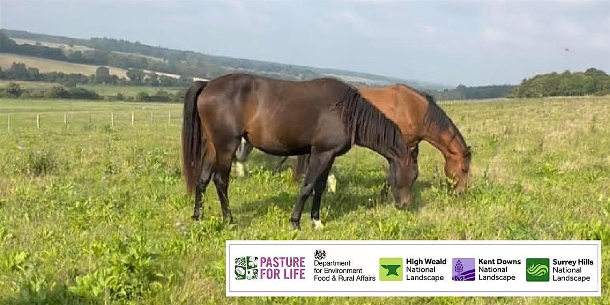 Managing Horses in an Adaptive Grazing System at Shelvin Farm