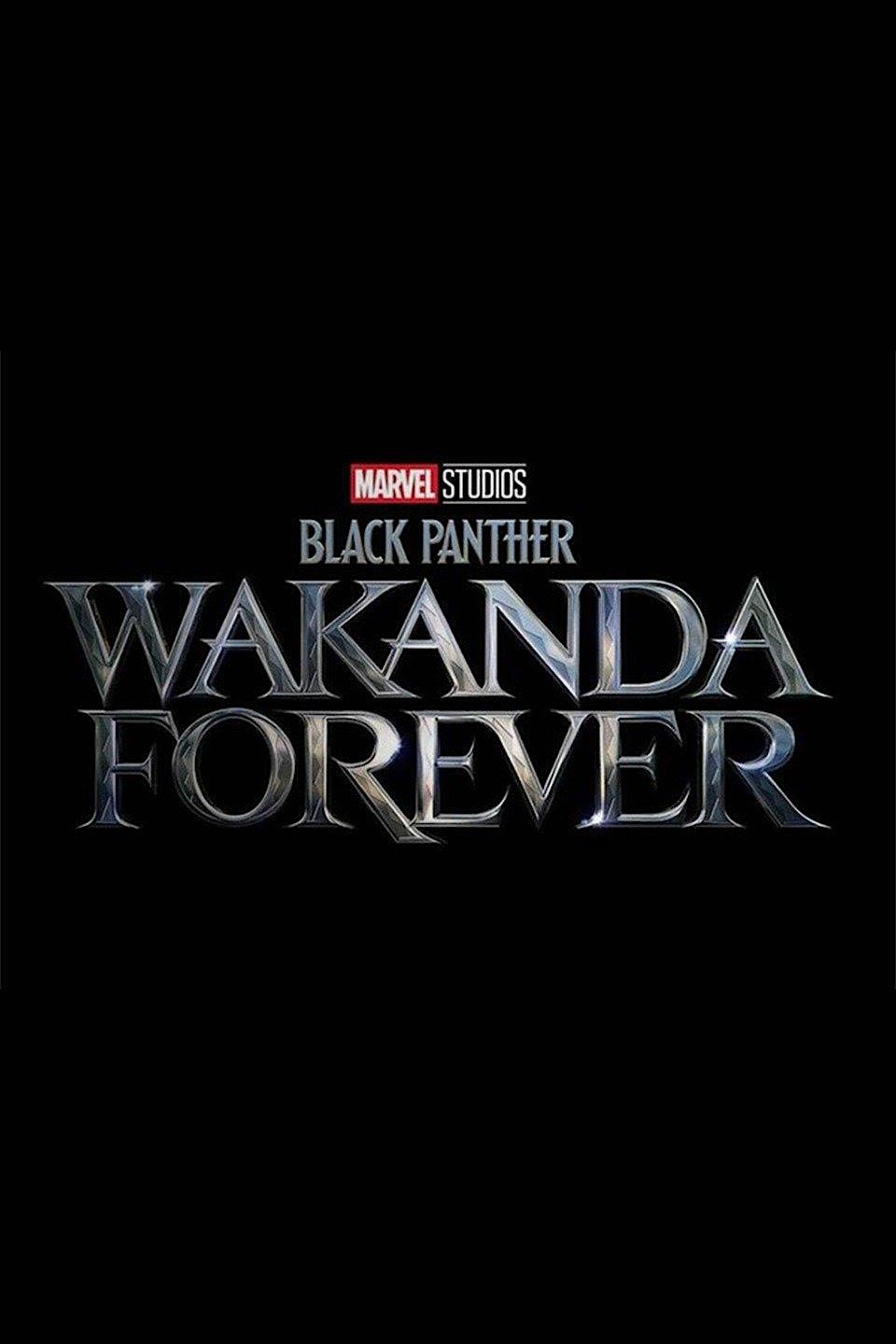 A Private Movie Screening for Black Panther 2 hosted by Urban Elegance
