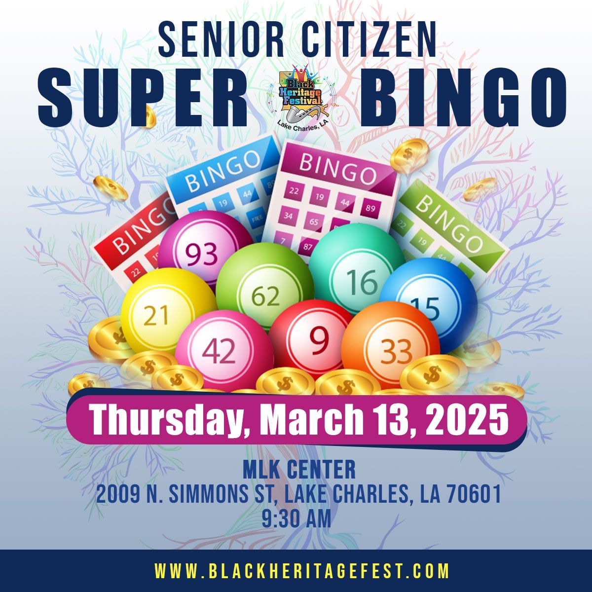 Senior Citizen Super Bingo