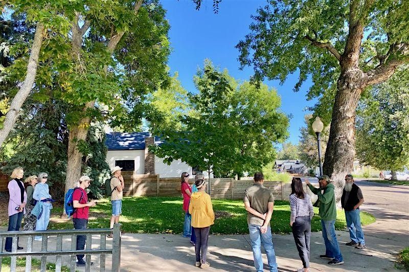 Trees of Louisville: Historical Museum Walking Tour