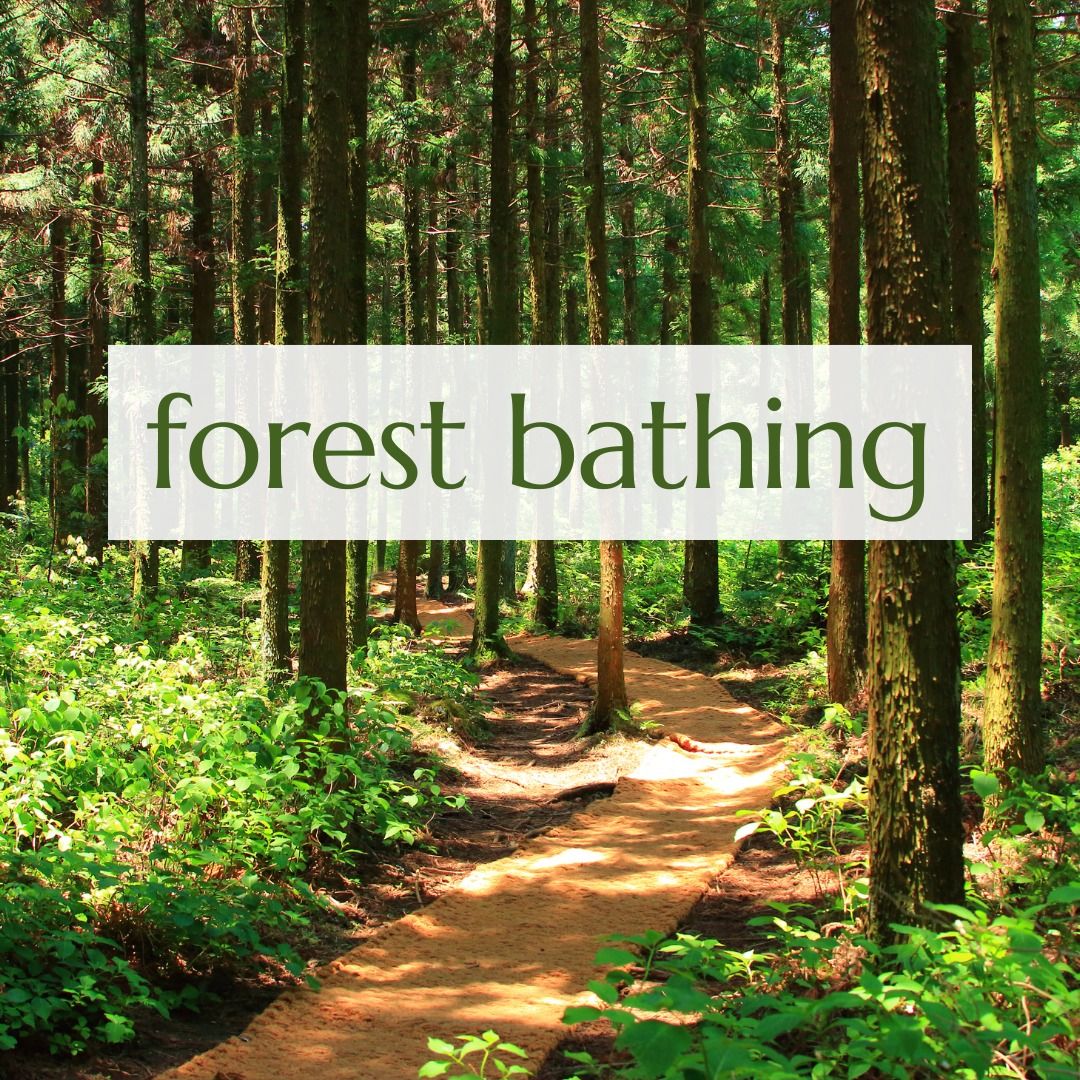 Forest Bathing