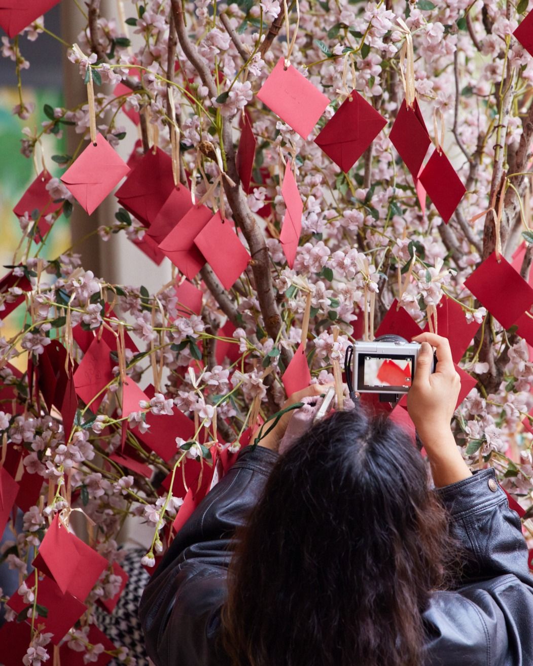 Chinese Lunar New Year