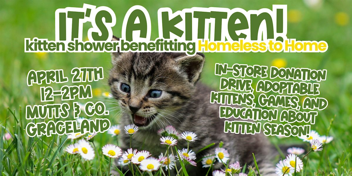 Kitten Shower with Homeless to Home! (Graceland)