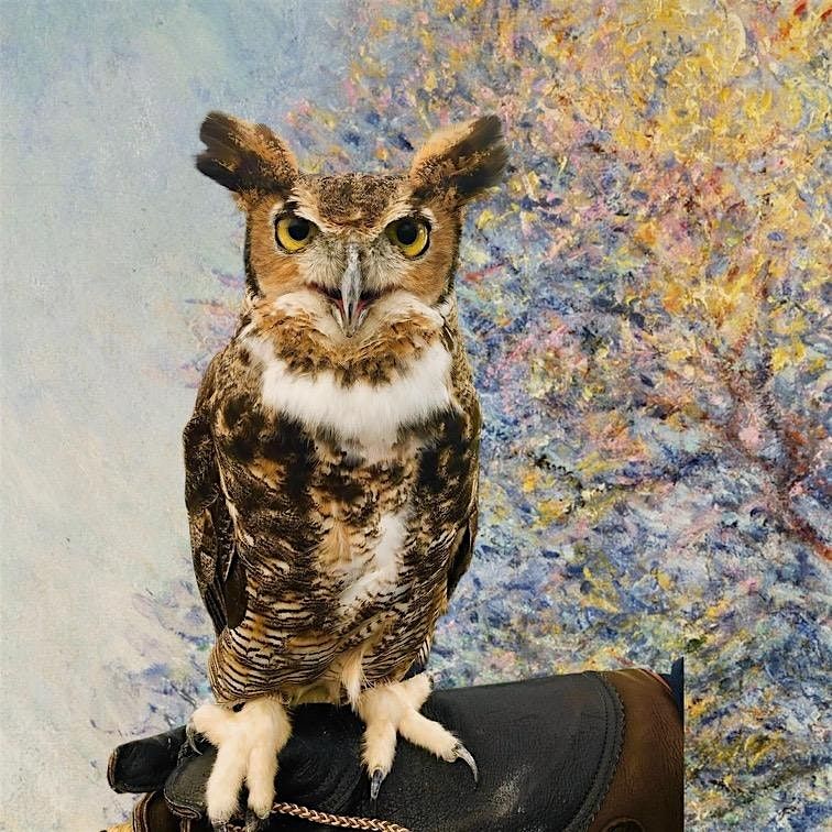 LIVE OWL PAINT N\u2019 SIP BENEFITING WHISPERING WILLOW WILD CARE.