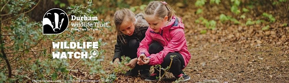 Wildlife Watch at Rainton Meadows