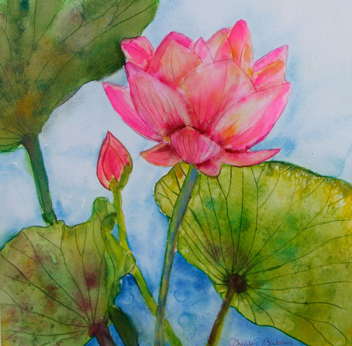 Lily Pads and Lotus Flowers Watercolors with Phyllis Gubins