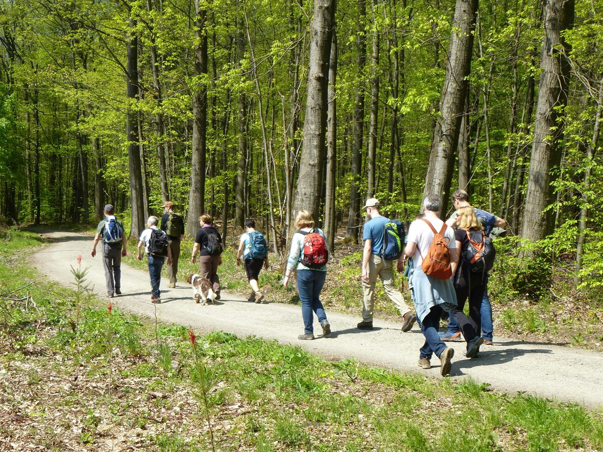 Walk & Talk \u2013 Singlewanderung mit Single-Coach Martina: Ettlingen (30+)