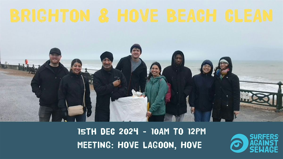 Brighton and Hove beach clean