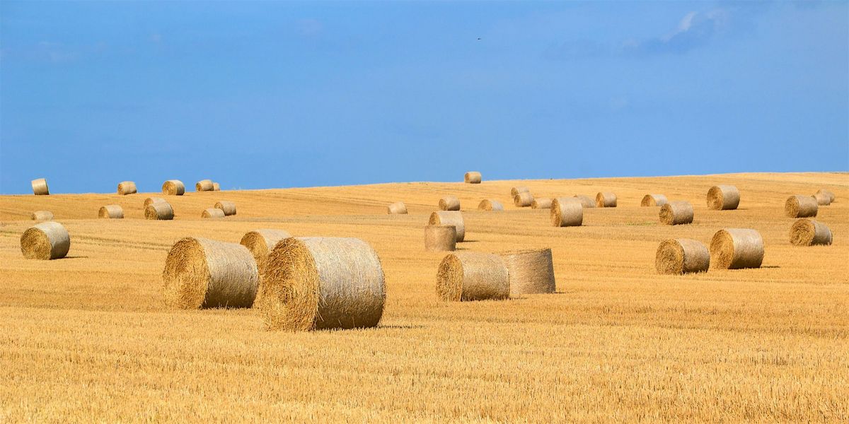 Growing Livestock Forage in Hot Climates w. NMSU