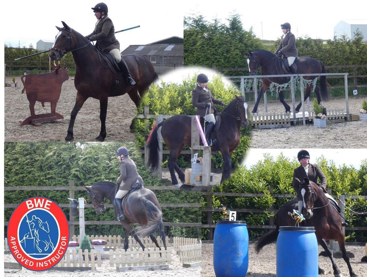 Working Equitation clinic 