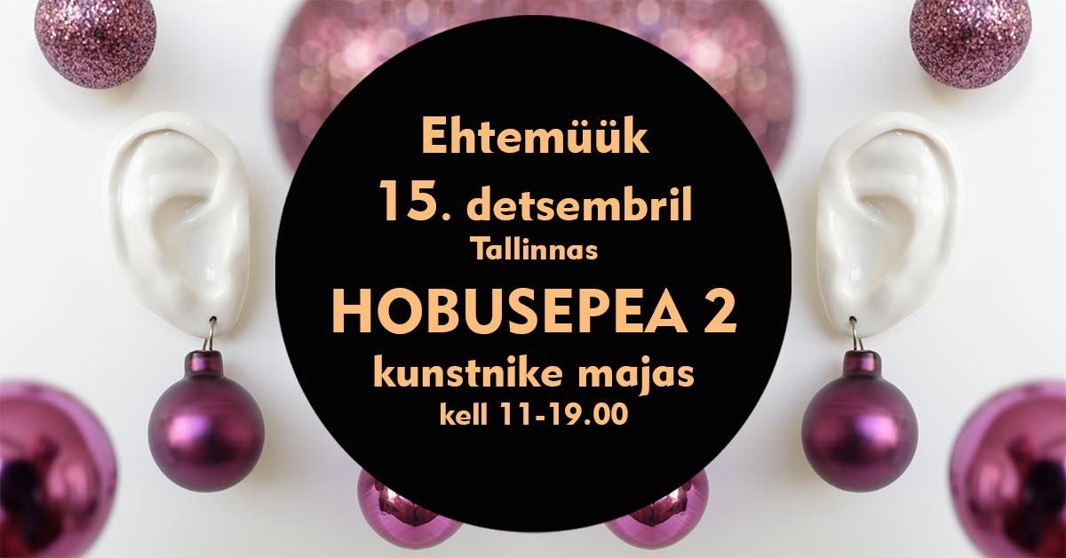 Ehtem\u00fc\u00fck Hobusepea 2 kunstnike majas