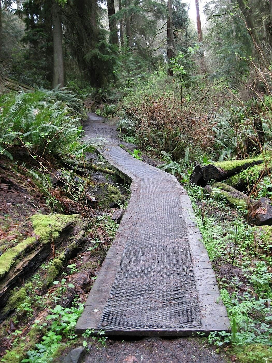 Schmitz Preserve Park Walking Tour