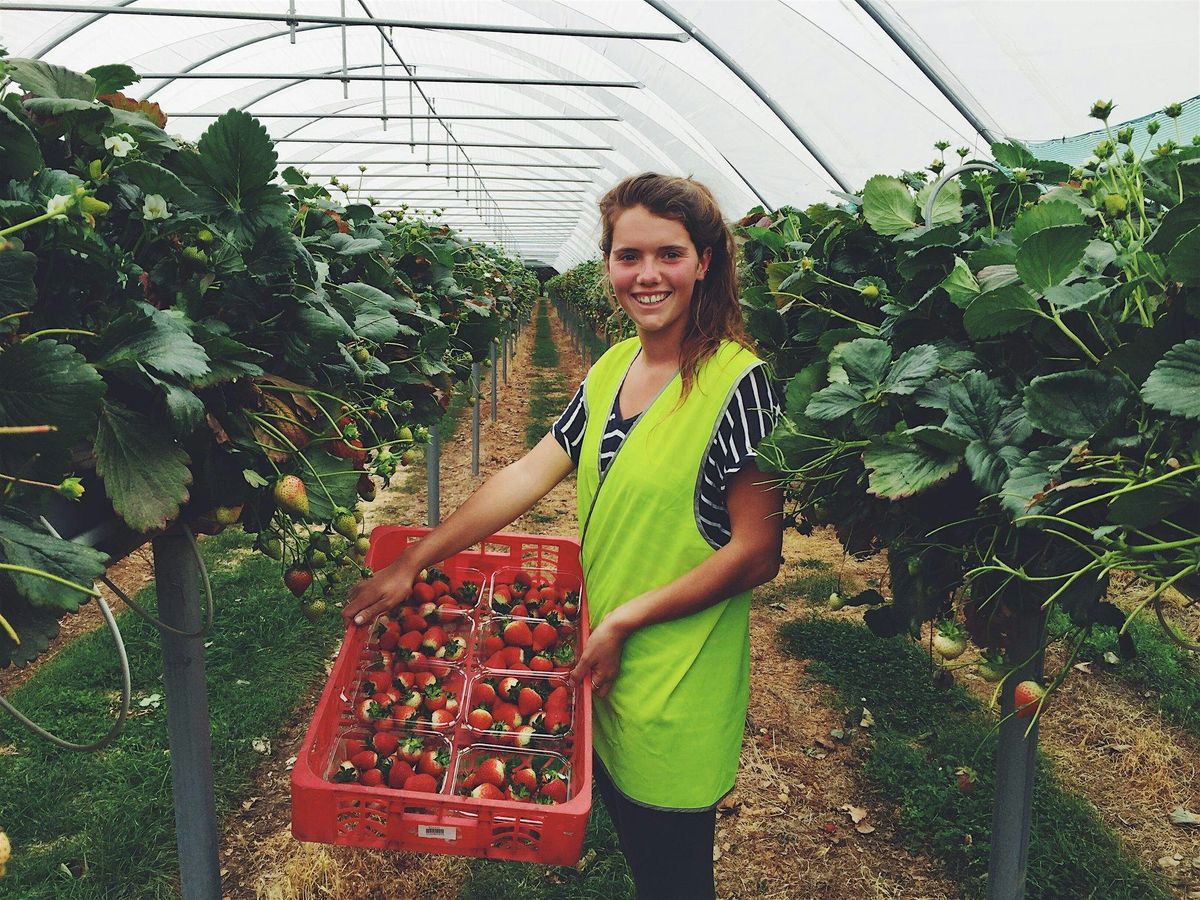 Workplace Wellbeing with Safe Farming Tasmania