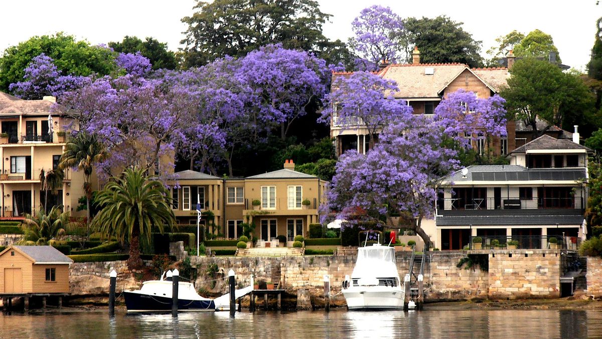 Steam Launch Lady Hopetoun | Jacaranda Cruises