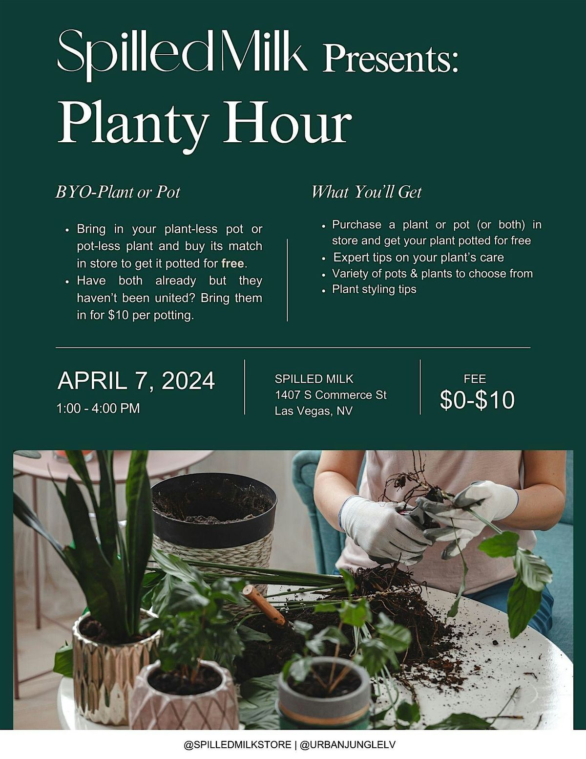 Planty Hour - BYO Plant or Pot