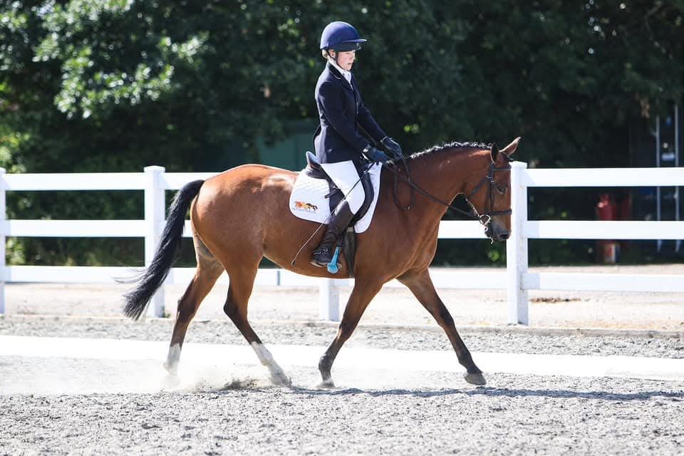 Cornwall Trec Group Evening Dressage 