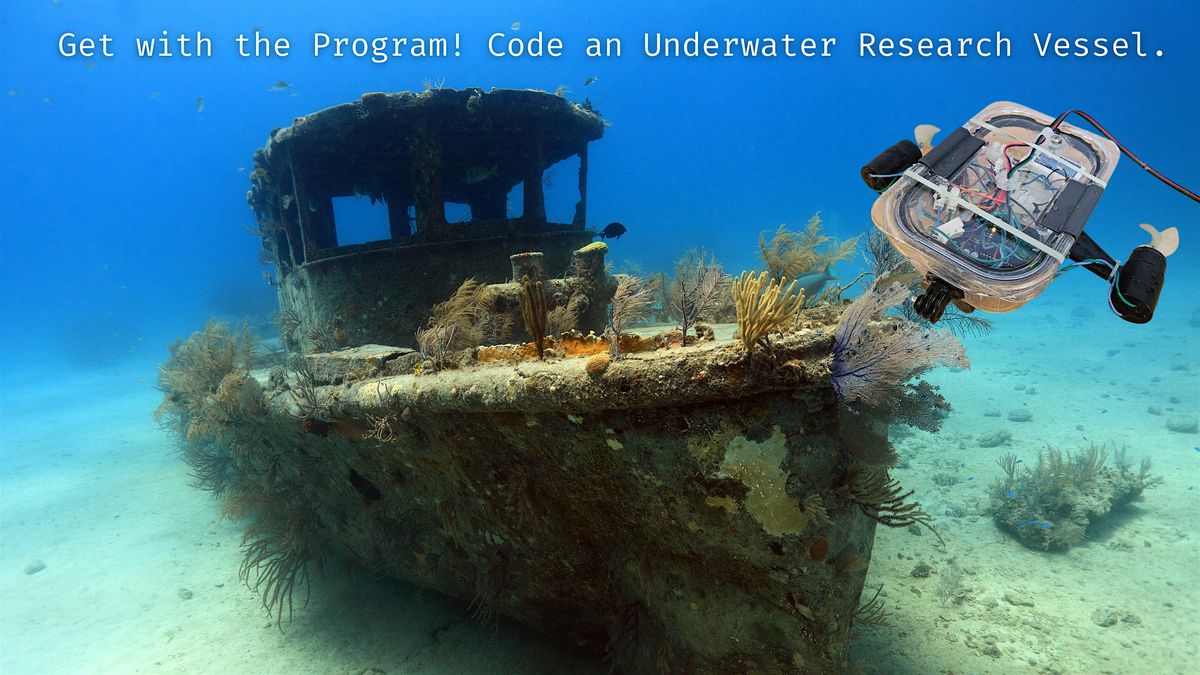 Dive into Discovery:  Programming
