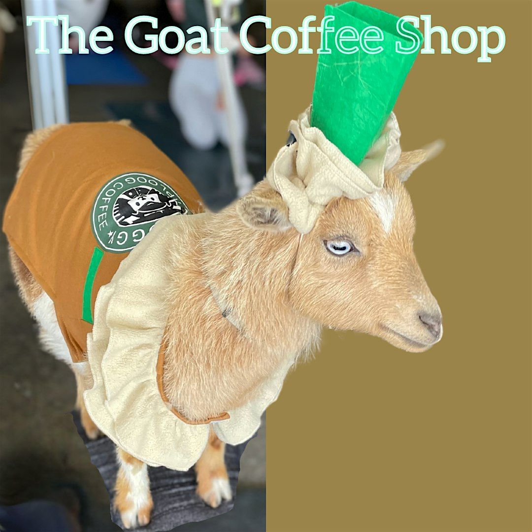 The Goat Coffee Shop:  Coffee + Goats