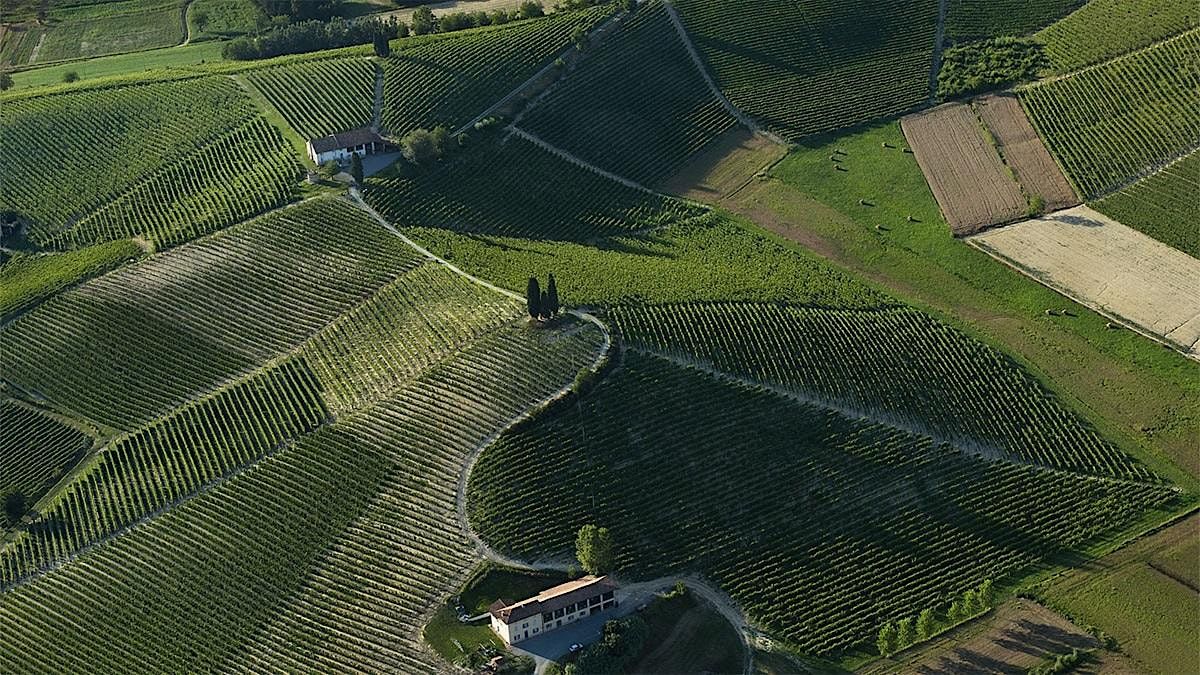 Piedmont Wine Masterclass with Italian Charcuterie