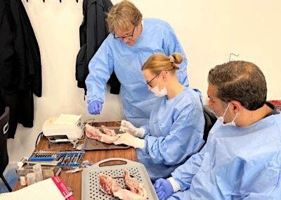 Autogenous Bone Augmentation Course -Khoury Technique with Dr Thomas ...