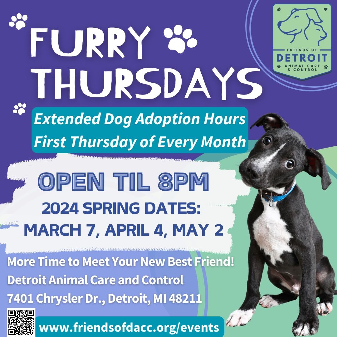 Furry Thursday Dog Adoption Event