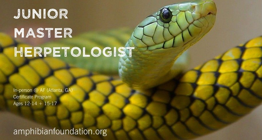 In-person Junior Master Herpetologist: Ages 12-14 Winter 2025