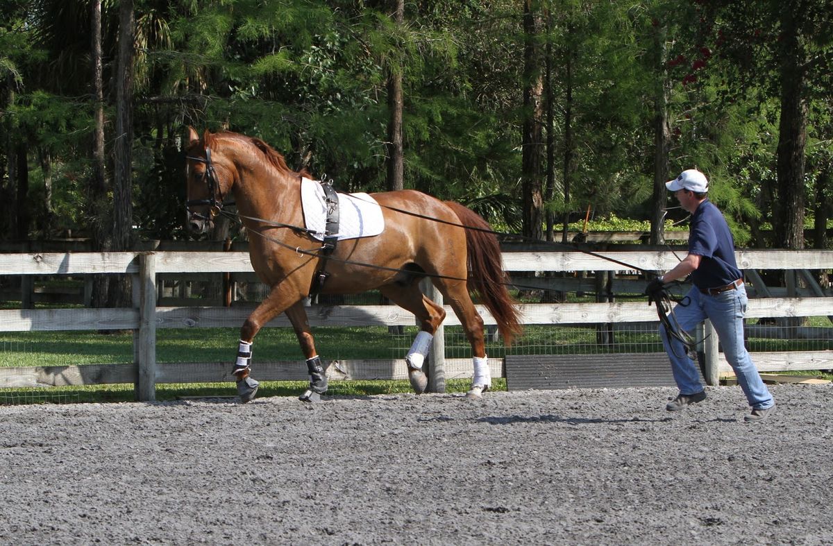 Long lining clinic with Richard Malmgren