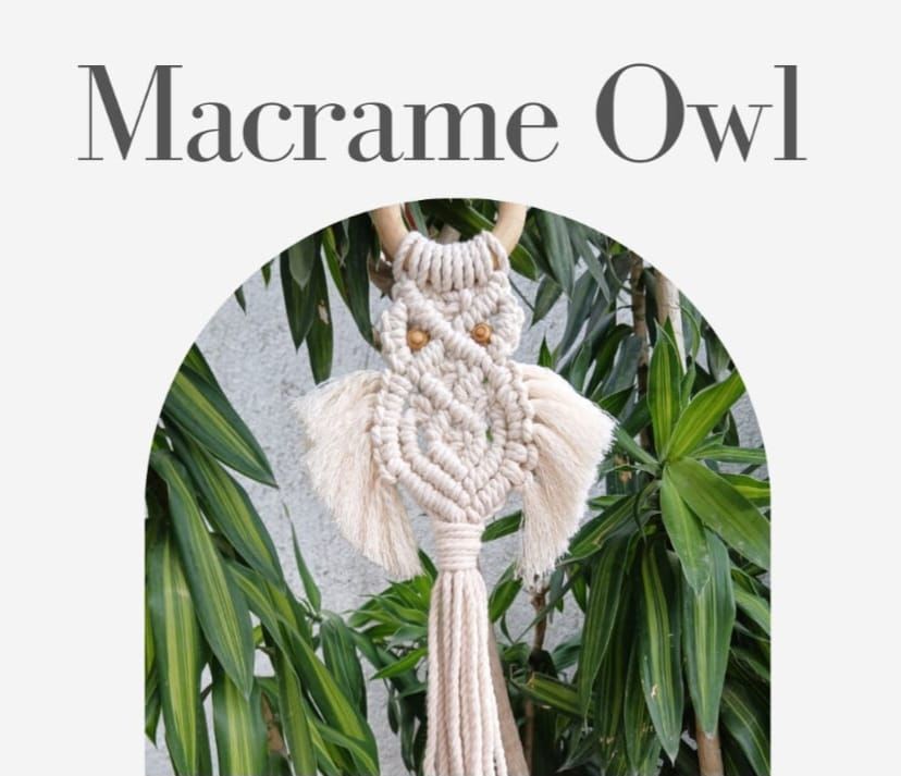 Macrame Owl Wall Hanging -2 spots left