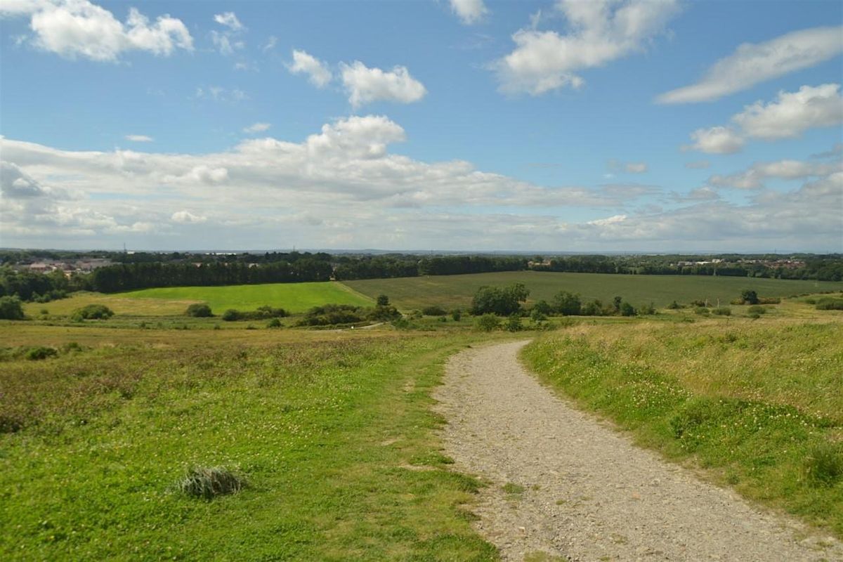 Weetslade guided walk